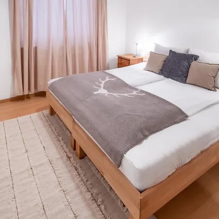 Apartament Schmitten & Cityxpress 1 And 2