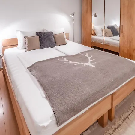 Appartement Schmitten & Cityxpress 1 And 2 *