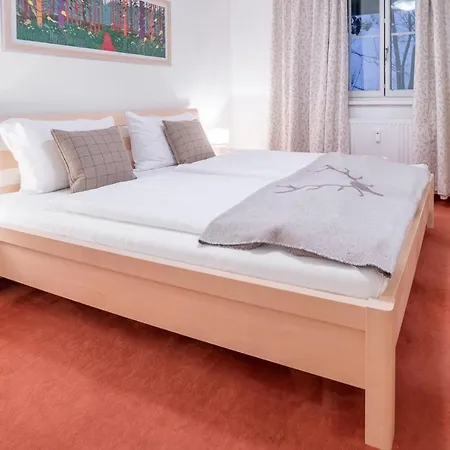 Appartement Schmitten & Cityxpress 1 And 2