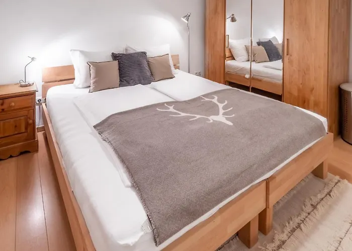 Appartement Schmitten & Cityxpress 1 And 2 *