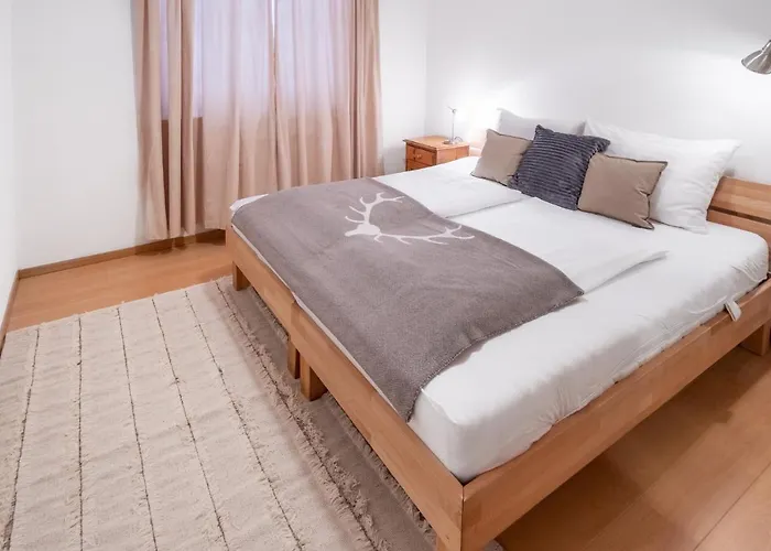 Apartamento Schmitten & Cityxpress 1 And 2