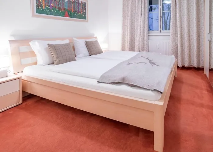 Appartement Schmitten & Cityxpress 1 And 2